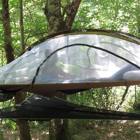 Tente Suspendue Au Coeur De La Foret Sainte-Croix-Volvestre Zewnętrze zdjęcie